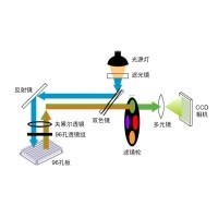 什么是熒光定量PCR、數(shù)字PCR？