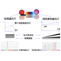 線性漸變?yōu)V光片是什么？有何特點？