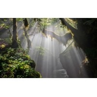 光的干涉、衍射、折射、反射、散射